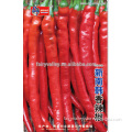 Chinese Vegetable Seeds Hot Long Chili Pepper Seeds For Sale-Korea Red Sun